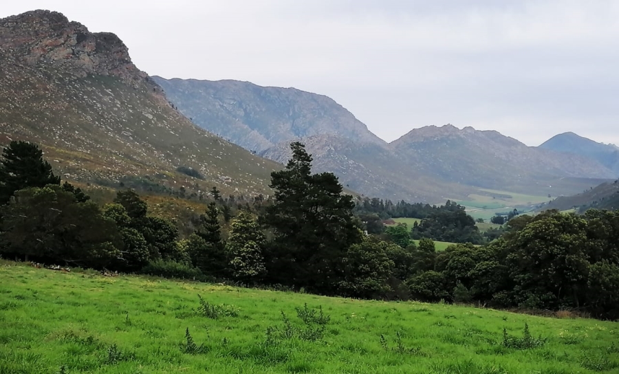 7 Bedroom Property for Sale in Riversdale Rural Western Cape
